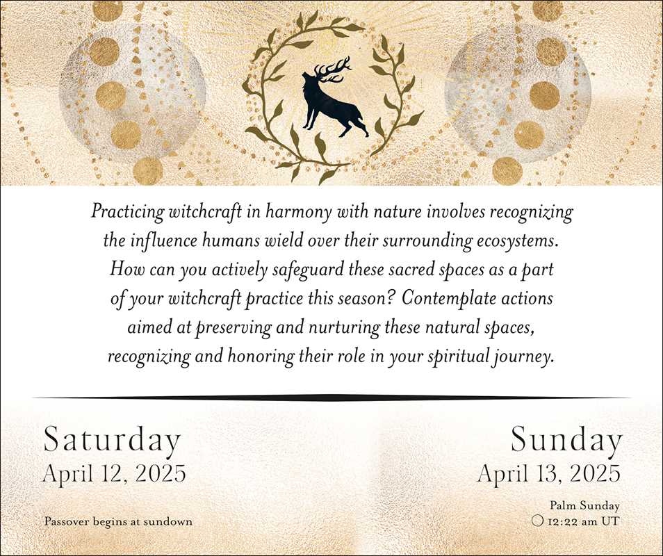 Year of the Witch 2025 Day-to-Day Calendar by Temperance Alden: Calendar; 640 pages / English