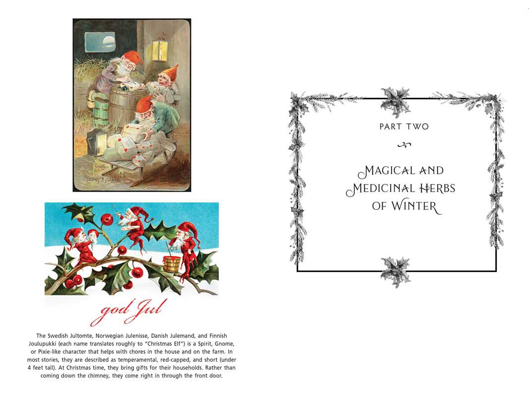 Sacred Herbs of Yule and Christmas by Ellen Evert Hopman: Paperback; 344 pages / English