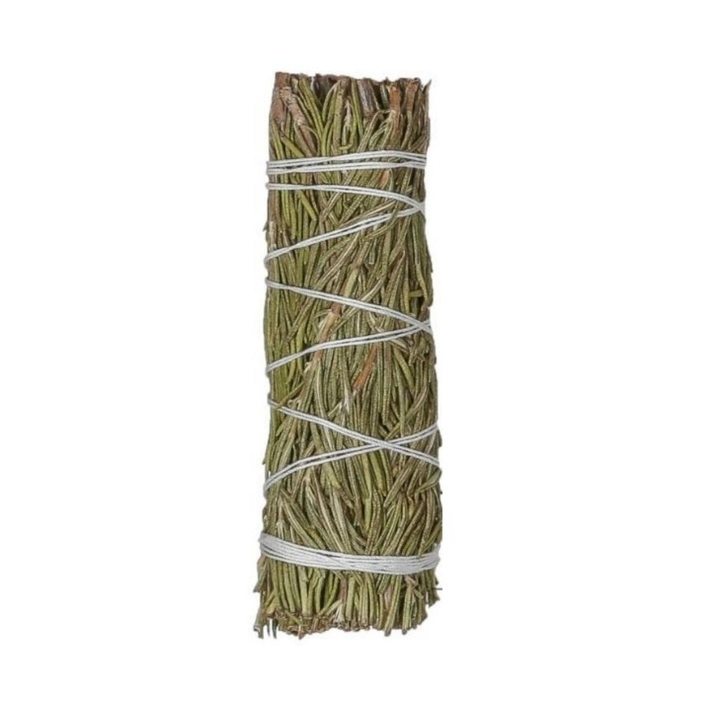 Regular Rosemary Bundles